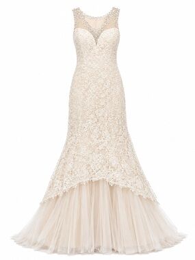 Sherri Hill 51114 Champagne Neck Lace Mermaid Gown